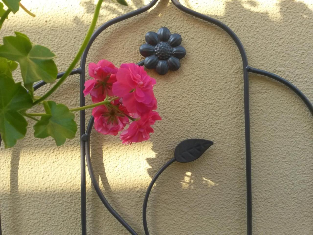 Casa Mica