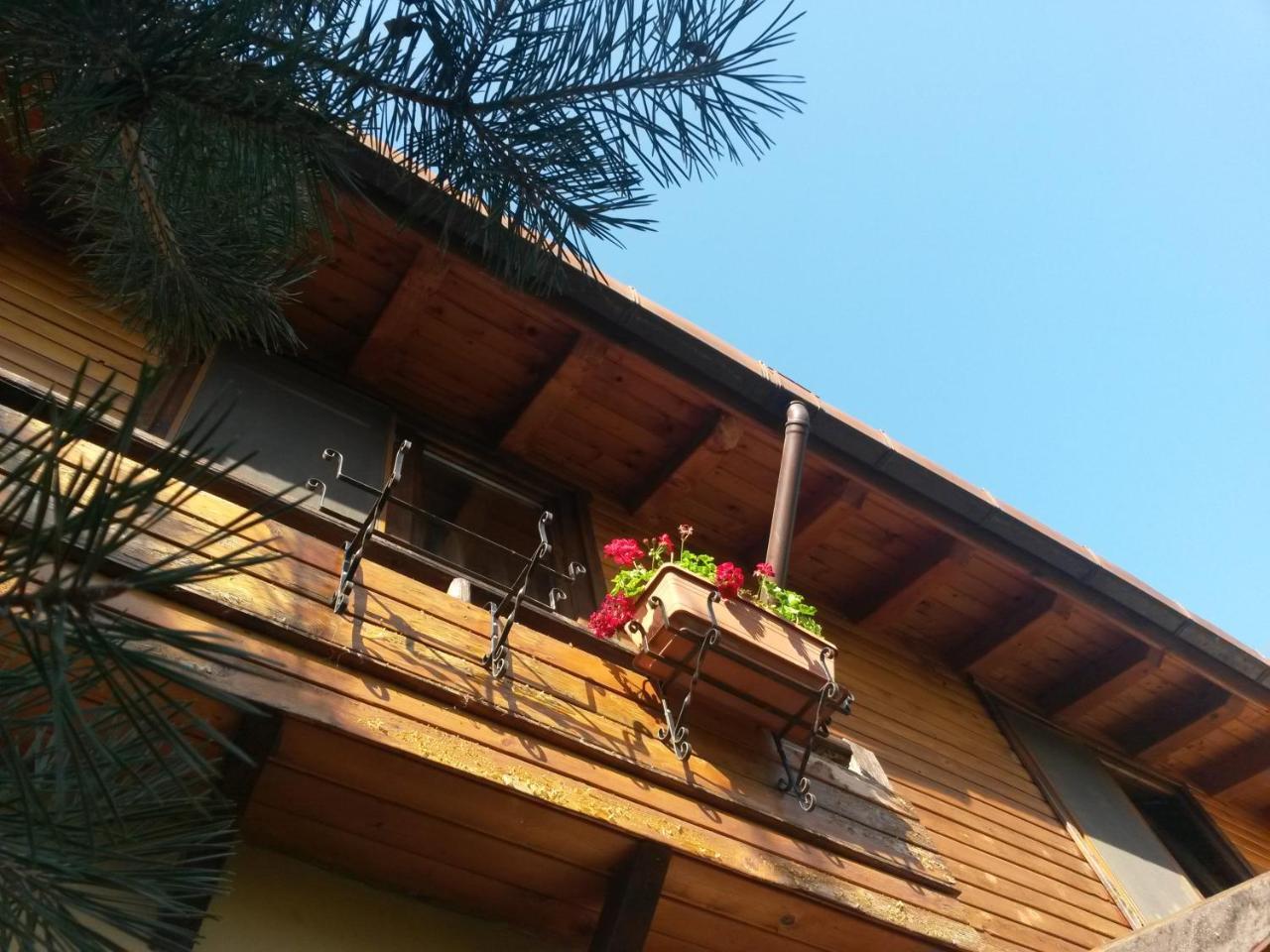 Pensiune Casa Mica Bucureşti
