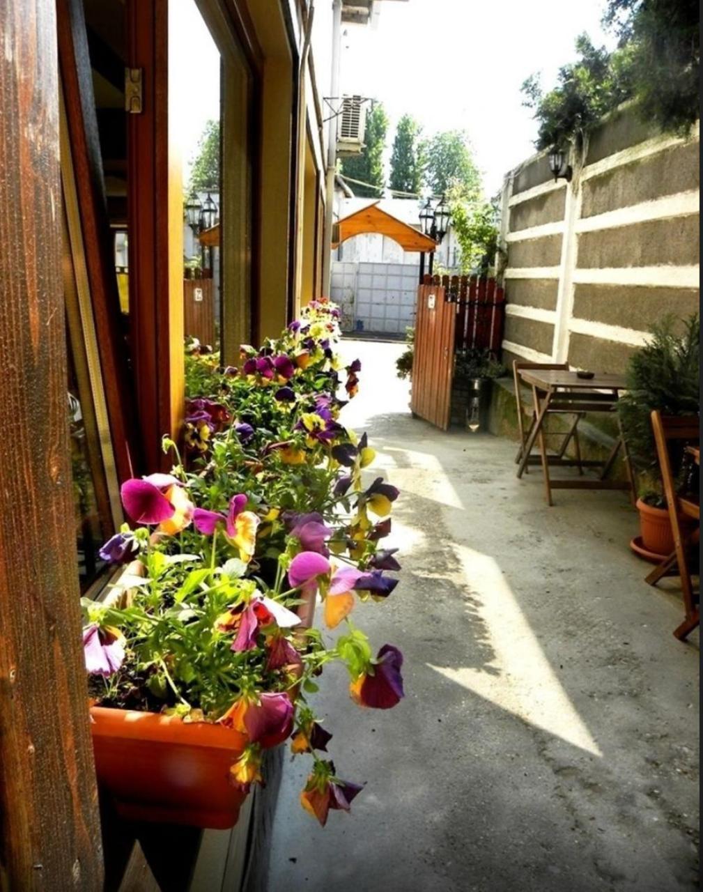 Pensiune Casa Mica 3*