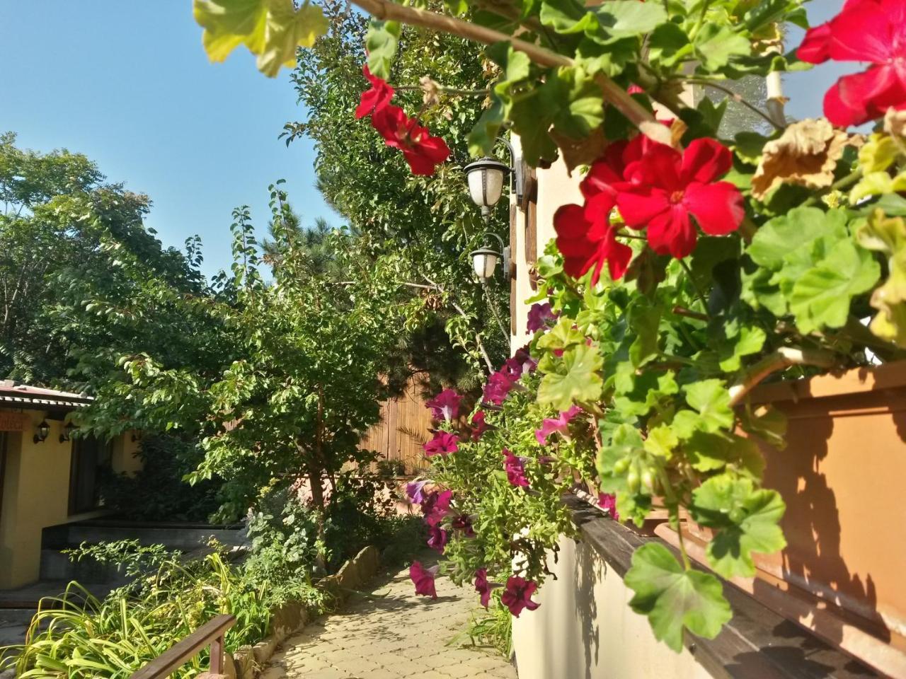 Affittacamere Casa Mica Gueshouse