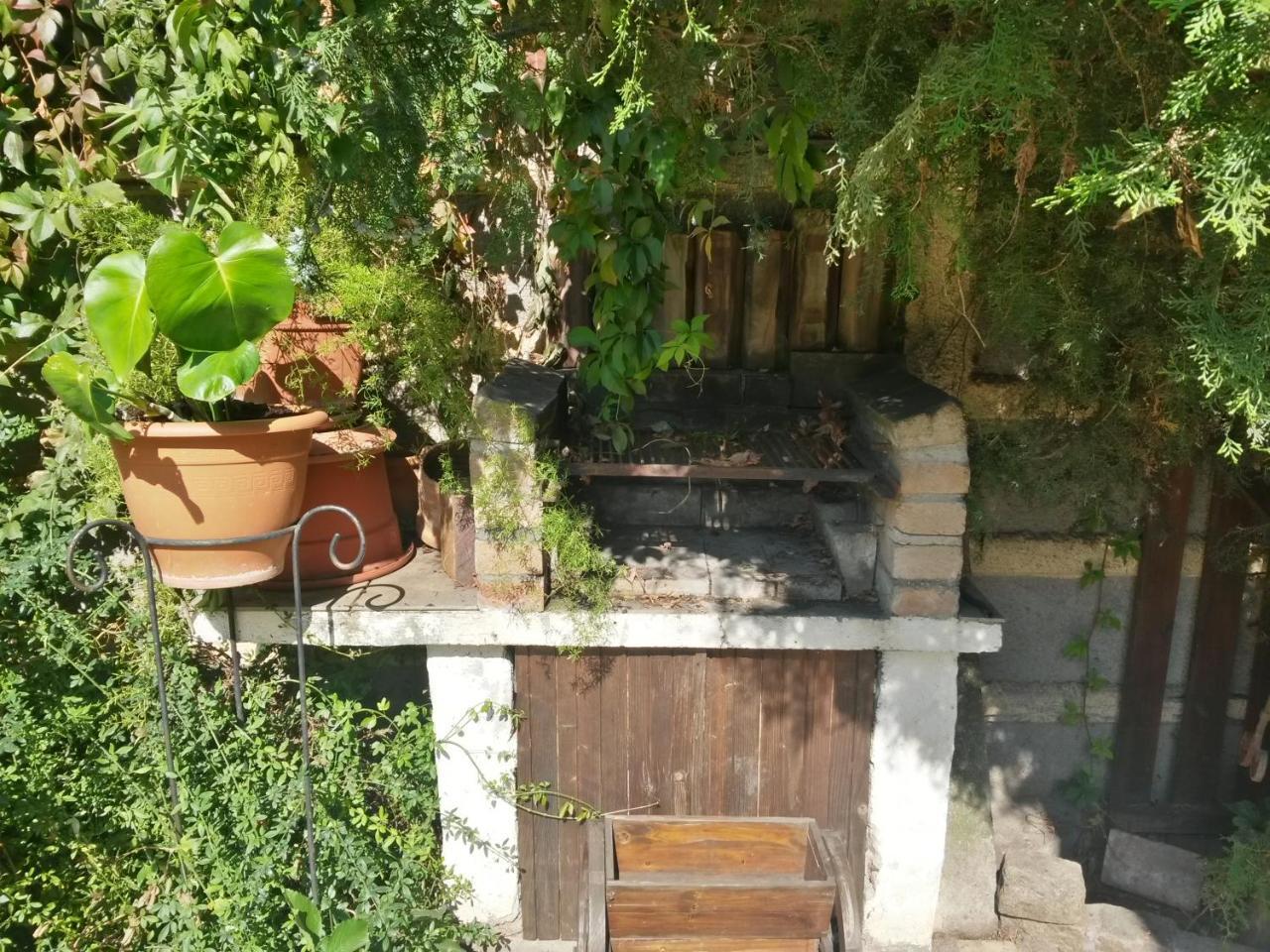 Casa Mica Gueshouse 3* Bucarest